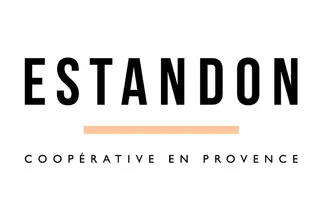 Enstandon logo.